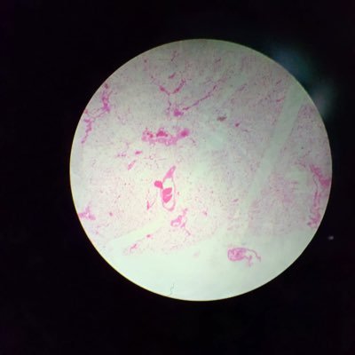 shafiq57018465's profile picture. 