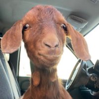 Jon Goat🪴(@Goat_Supplies) 's Twitter Profile Photo