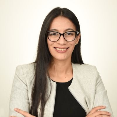 Jefe Académico de Ingeniería en Mecatrónica
UNITEC, SPS
