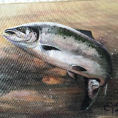 Love Great Britain, proudly 🇬🇧 British and Scottish. Love my country, hate what’s happening under SNP 
Love salmon fishing. No DMs. 
Fish artist.