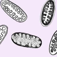 Mitochondrion (@h_earthborn) Twitter profile photo