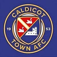 Caldicot Town Ladies(@CaldicotLadyFC) 's Twitter Profile Photo