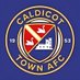 Caldicot Town Ladies (@CaldicotLadyFC) Twitter profile photo