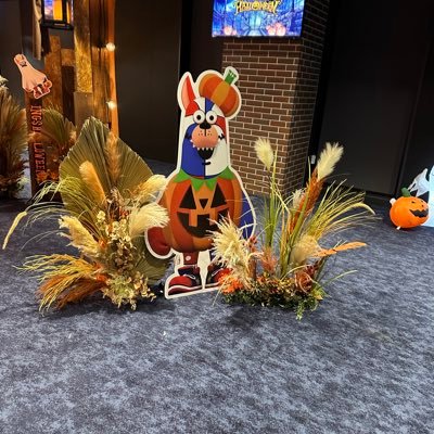 We_Love_Kings's profile picture. 琉球ゴールデンキングス推し