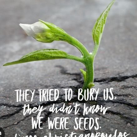 amanikwetu2's profile picture. 