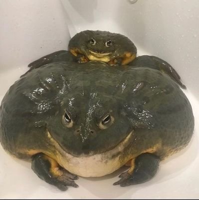 LackaSmacka's profile picture. 25 Female• She/Her• Traditional artist•