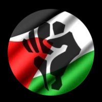 Poka Nutt 🇵🇸 (@perrypokanutt) Twitter profile photo