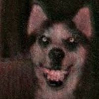 isaac (@goftue) 's Twitter Profile