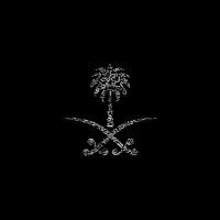مُحامية ومستشارة قانونية 🇸🇦⚖️. (@_i9n1) 's Twitter Profile