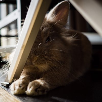bindingscope's profile picture. 多段階計算と様相λ計算が気になる京都の博士学生です / Ph.D. student at Kyoto Univ. Interested in metaprogramming and modal logic. Fediverse: bindingscope@mastodon.acm.org