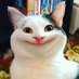 BadTexanKitty (@openzoociety) Twitter profile photo BadTexanKitty (@openzoociety) Twitter profile photo