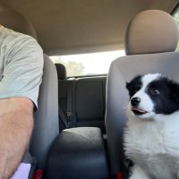 Augusto (@augustomessina) 's Twitter Profile Photo