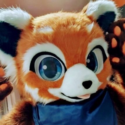 Akapan 🚩🇧🇷 🔜 JMoF 2026さんのプロフィール画像