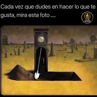 carlosolmedoa's profile picture. Opinar cuando sea necesario
Ser feliz siempre