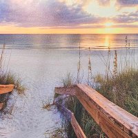 ๐บ๐ธ๐๐ฎ๐ฑ (@dslideman) 's Twitter Profile