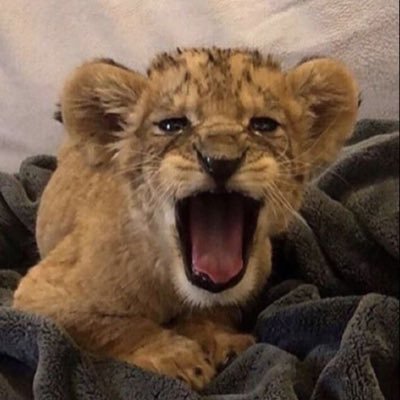 golden_jayd's profile picture. God first❤️… 📌Chemical Engineer