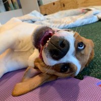 BB (@bberry_rx) 's Twitter Profile