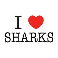 SharkFacts(@SharkfactsOffic) 's Twitter Profile Photo
