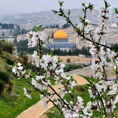 mohamed_islam89's profile picture. Whatever happens, keep going... this is not the end😊

🖤⚖️