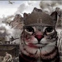 JVLIVS (@chairmanofbased) 's Twitter Profile