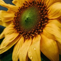 Rifat Islam (@rifatraj6437) 's Twitter Profile