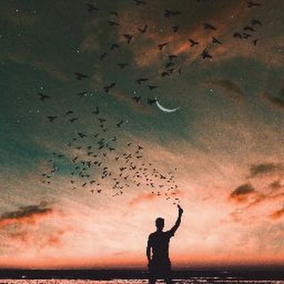 zeadkool11079's profile picture. 