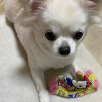 投資信託✖️債券@負けない分散投資 (@kotaro20190428) 's Twitter Profile