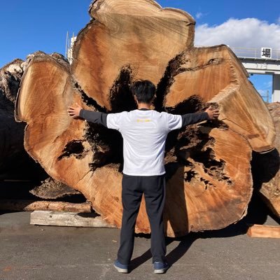 銘木図鑑50シリーズ