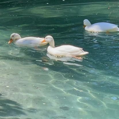 palingcutiestxx's profile picture. 27🤍