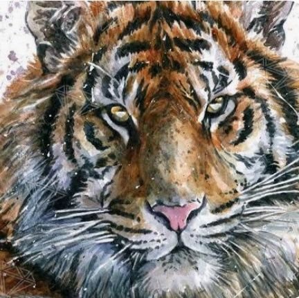 TrongThanhTran3's profile picture. Bạn bè