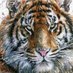 Trong Thanh Tran (@trongthanhtran3) Twitter profile photo Trong Thanh Tran (@trongthanhtran3) Twitter profile photo
