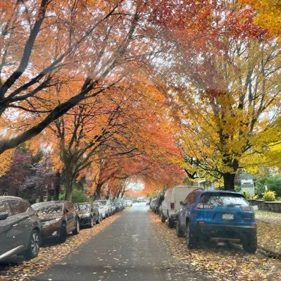 bid8889's profile picture. 