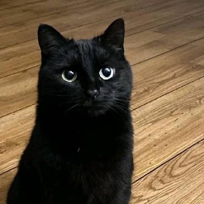 Isha_nnah's profile picture. 