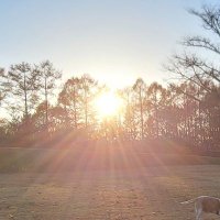 至 (@hrn0303mps41156) 's Twitter Profile Photo