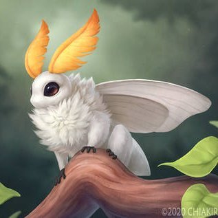 HeteroceraCS2's profile picture. 