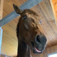 manamama (@manamam36841929) 's Twitter Profile