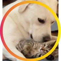 ふぁふぁ (@fx_saku28) 's Twitter Profile