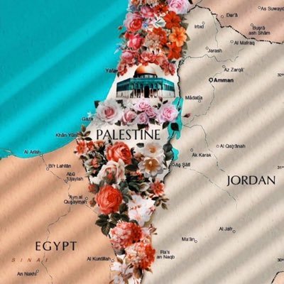 Tinkerbellebts's profile picture. اللهم إني استودعتك غزة و أهلها بحفظك و حماك يااارب العالمين