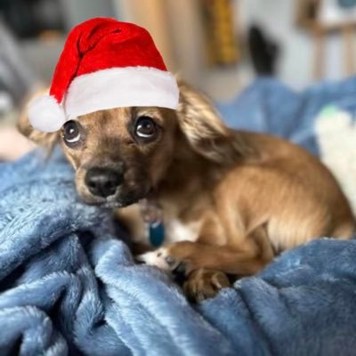 Gbacon121's profile picture. 