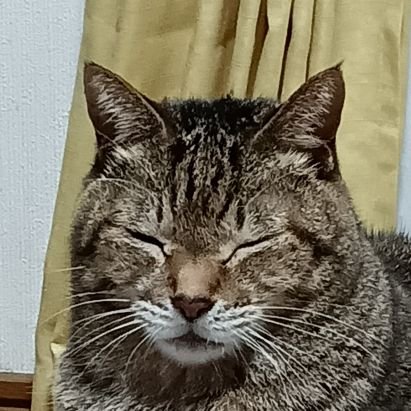 Fi1eYMjSB5VGNkU's profile picture. 人生はジェダイに学んだ（笑）