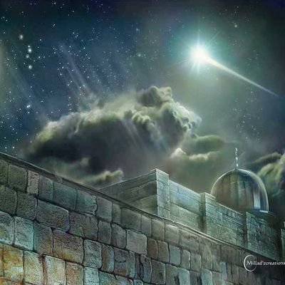 MJSadiq7's profile picture. Truth always wins