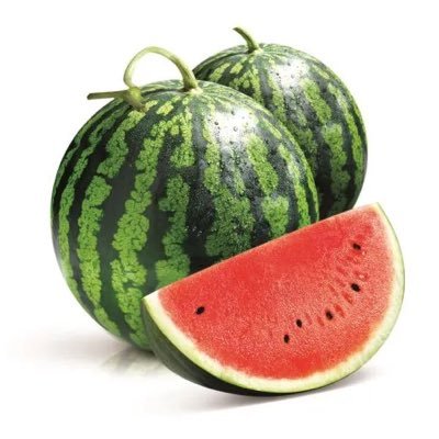 summer_blabla's profile picture. @log_the_summer