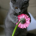 Elizabeth Dworkin - @ElizabethDworki - Twitter