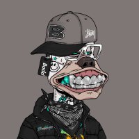 MAIKI MO | Bad Dogs 100 ETH (@netinsbrokers) 's Twitter Profile Photo MAIKI MO | Bad Dogs 100 ETH (@netinsbrokers) 's Twitter Profile Photo