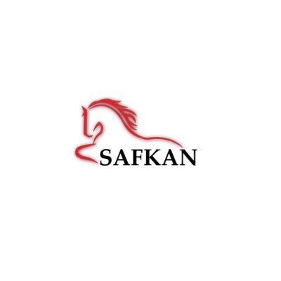 safkanmekanik Profile Picture