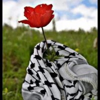 توليب𓂆 (@tulipt712) 's Twitter Profile Photo توليب𓂆 (@tulipt712) 's Twitter Profile Photo