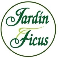 Jardin Ficus(@JardinFicus) 's Twitter Profile Photo