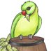 The Bird & Barrel (@bird_and_barrel) Twitter profile photo
