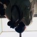 RAFURI 𓅫 (@world_rafuri) Twitter profile photo RAFURI 𓅫 (@world_rafuri) Twitter profile photo