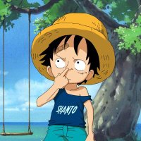 superonepiece(@DuTa283) 's Twitter Profile Photo